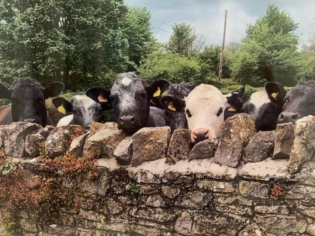Apartamento The Milking Sheds Tytherington  Exterior foto